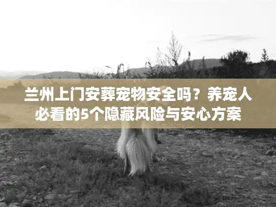 兰州上门安葬宠物安全吗？养宠人必看的5个隐藏风险与安心方案