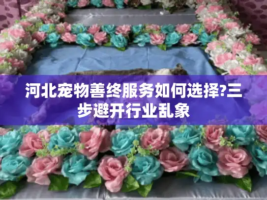 河北宠物善终服务如何选择?三步避开行业乱象