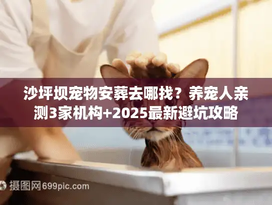 沙坪坝宠物安葬去哪找？养宠人亲测3家机构+2025最新避坑攻略