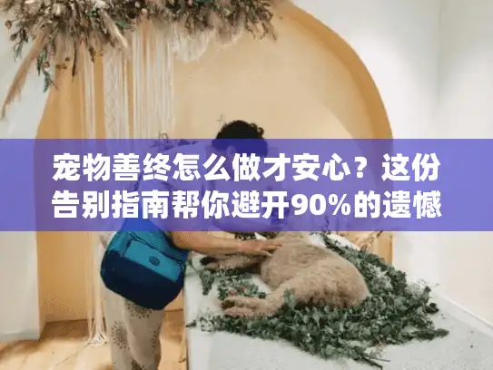 宠物善终怎么做才安心？这份告别指南帮你避开90%的遗憾