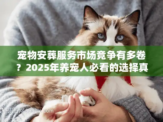 宠物安葬服务市场竞争有多卷？2025年养宠人必看的选择真相