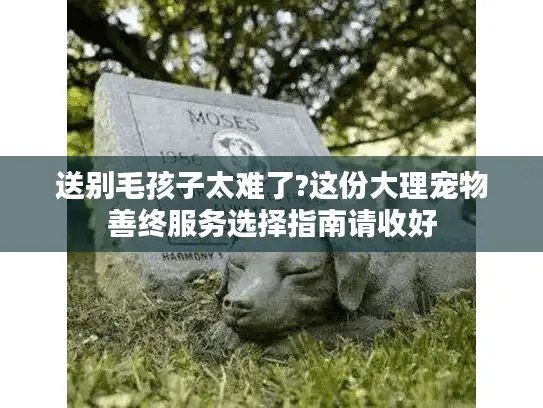 送别毛孩子太难了?这份大理宠物善终服务选择指南请收好