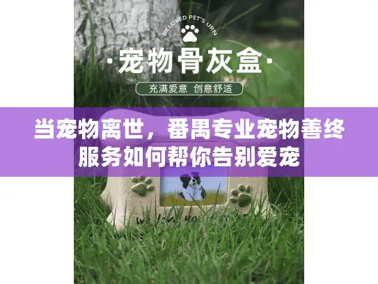 当宠物离世，番禺专业宠物善终服务如何帮你告别爱宠