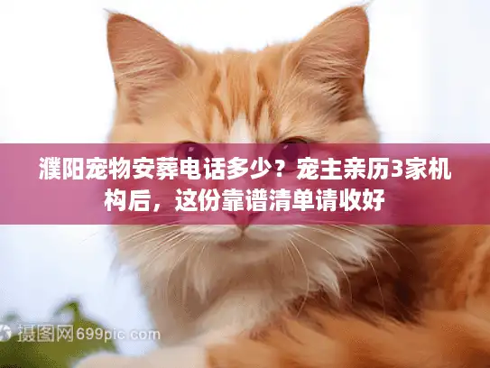 濮阳宠物安葬电话多少？宠主亲历3家机构后，这份靠谱清单请收好