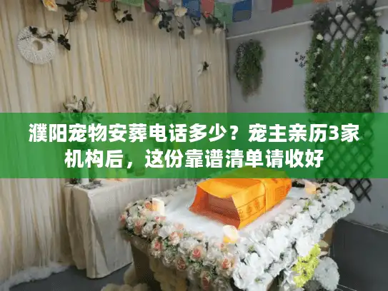 濮阳宠物安葬电话多少？宠主亲历3家机构后，这份靠谱清单请收好