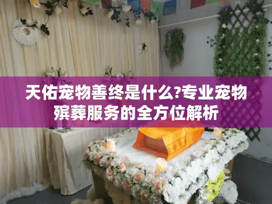 天佑宠物善终是什么?专业宠物殡葬服务的全方位解析