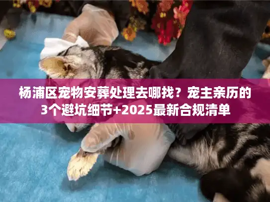 杨浦区宠物安葬处理去哪找？宠主亲历的3个避坑细节+2025最新合规清单