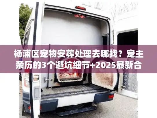 杨浦区宠物安葬处理去哪找？宠主亲历的3个避坑细节+2025最新合规清单