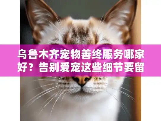 乌鲁木齐宠物善终服务哪家好？告别爱宠这些细节要留心