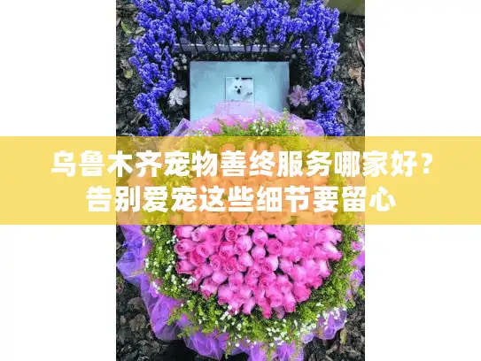 乌鲁木齐宠物善终服务哪家好？告别爱宠这些细节要留心