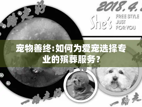 宠物善终:如何为爱宠选择专业的殡葬服务？