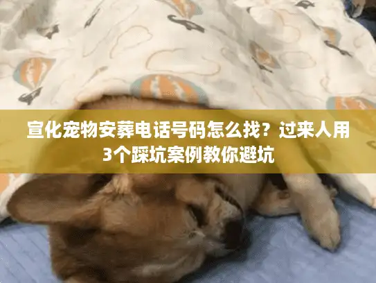 宣化宠物安葬电话号码怎么找？过来人用3个踩坑案例教你避坑
