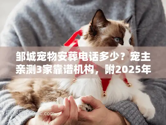 邹城宠物安葬电话多少？宠主亲测3家靠谱机构，附2025年最新避坑指南