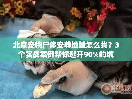 北京宠物尸体安葬地址怎么找？3个实战案例帮你避开90%的坑