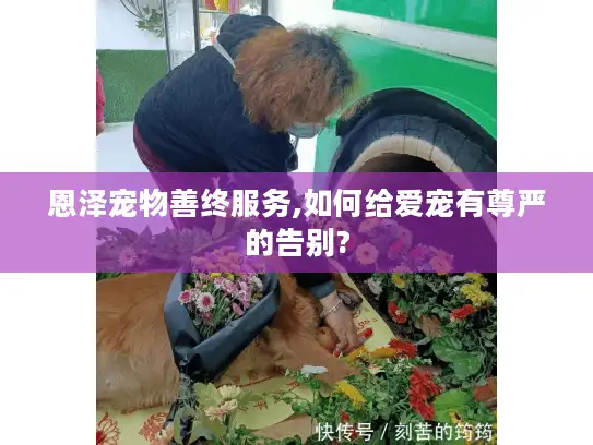 恩泽宠物善终服务,如何给爱宠有尊严的告别?