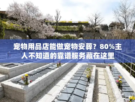 宠物用品店能做宠物安葬？80%主人不知道的靠谱服务藏在这里
