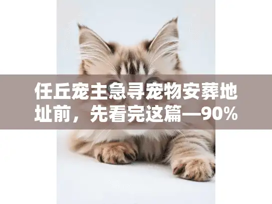 任丘宠主急寻宠物安葬地址前，先看完这篇—90%的人都踩过这些坑！