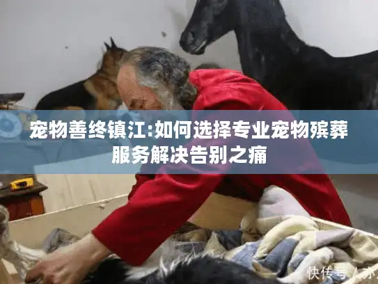 宠物善终镇江:如何选择专业宠物殡葬服务解决告别之痛