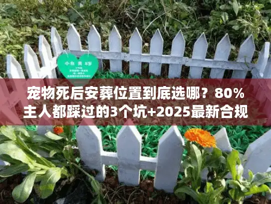 宠物死后安葬位置到底选哪？80%主人都踩过的3个坑+2025最新合规选址指南