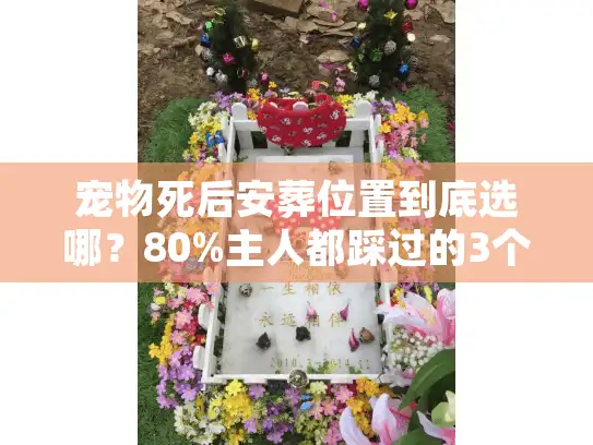 宠物死后安葬位置到底选哪？80%主人都踩过的3个坑+2025最新合规选址指南