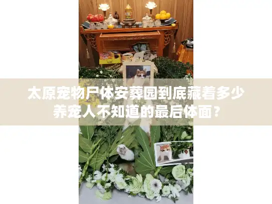 太原宠物尸体安葬园到底藏着多少养宠人不知道的最后体面？