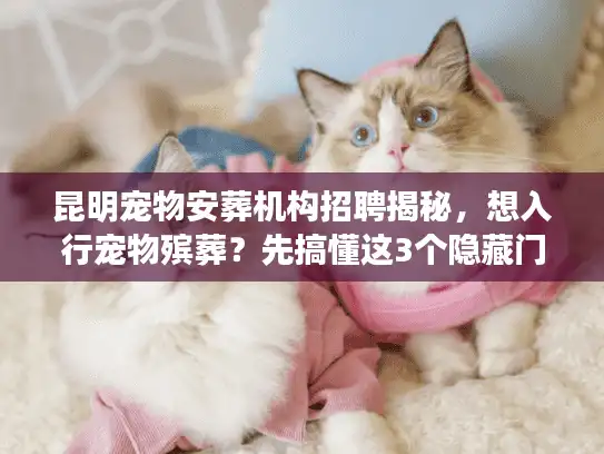 昆明宠物安葬机构招聘揭秘，想入行宠物殡葬？先搞懂这3个隐藏门槛