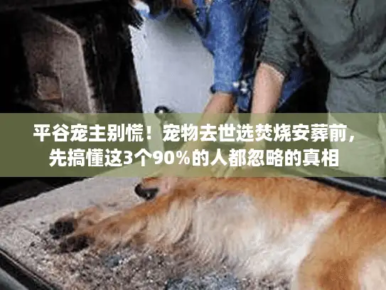 平谷宠主别慌！宠物去世选焚烧安葬前，先搞懂这3个90%的人都忽略的真相