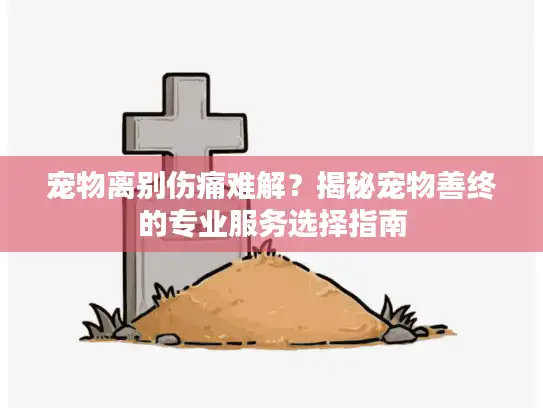宠物离别伤痛难解？揭秘宠物善终的专业服务选择指南