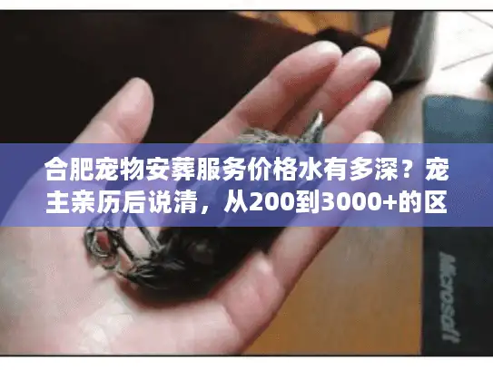 合肥宠物安葬服务价格水有多深？宠主亲历后说清，从200到3000+的区别到底在哪