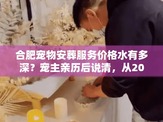 合肥宠物安葬服务价格水有多深？宠主亲历后说清，从200到3000+的区别到底在哪