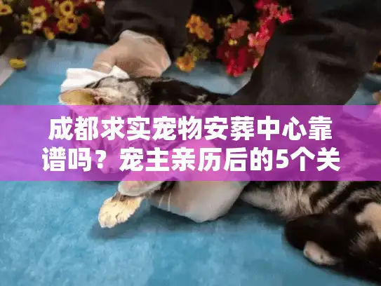成都求实宠物安葬中心靠谱吗？宠主亲历后的5个关键真相+避坑指南