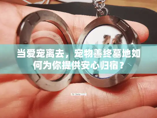 当爱宠离去，宠物善终墓地如何为你提供安心归宿？