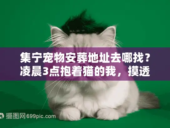 集宁宠物安葬地址去哪找？凌晨3点抱着猫的我，摸透了这5个关键真相