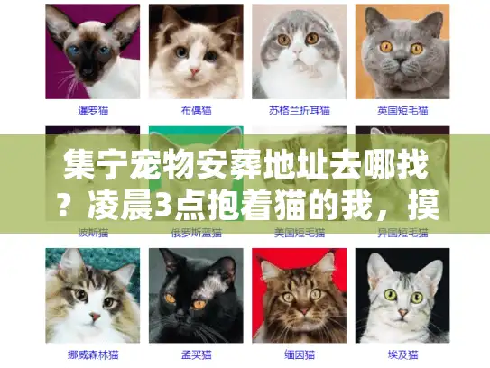 集宁宠物安葬地址去哪找？凌晨3点抱着猫的我，摸透了这5个关键真相
