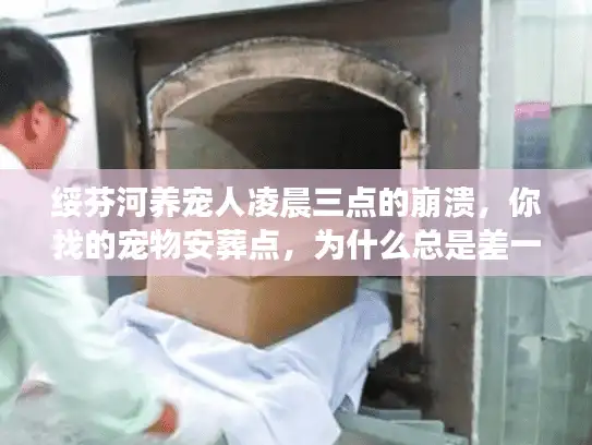 绥芬河养宠人凌晨三点的崩溃，你找的宠物安葬点，为什么总是差一点？