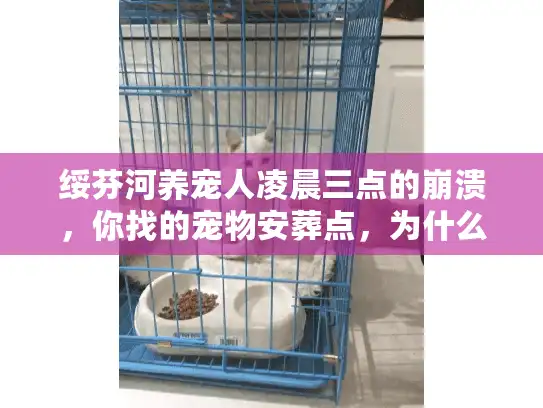 绥芬河养宠人凌晨三点的崩溃，你找的宠物安葬点，为什么总是差一点？