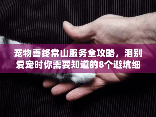 宠物善终常山服务全攻略，泪别爱宠时你需要知道的8个避坑细节