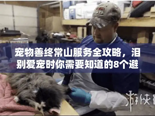 宠物善终常山服务全攻略，泪别爱宠时你需要知道的8个避坑细节