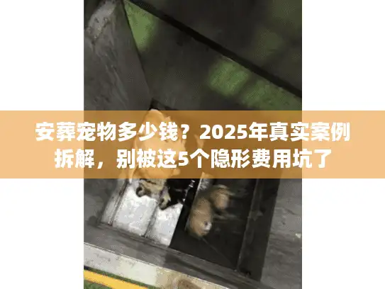 安葬宠物多少钱？2025年真实案例拆解，别被这5个隐形费用坑了