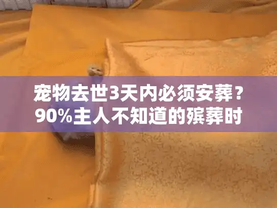 宠物去世3天内必须安葬？90%主人不知道的殡葬时间误区与急救式服务指南