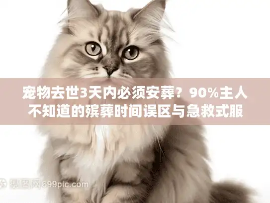 宠物去世3天内必须安葬？90%主人不知道的殡葬时间误区与急救式服务指南