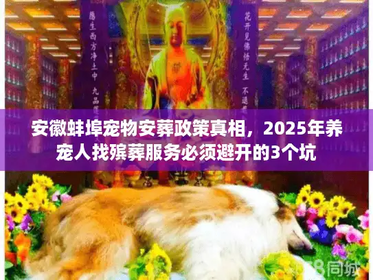 安徽蚌埠宠物安葬政策真相，2025年养宠人找殡葬服务必须避开的3个坑