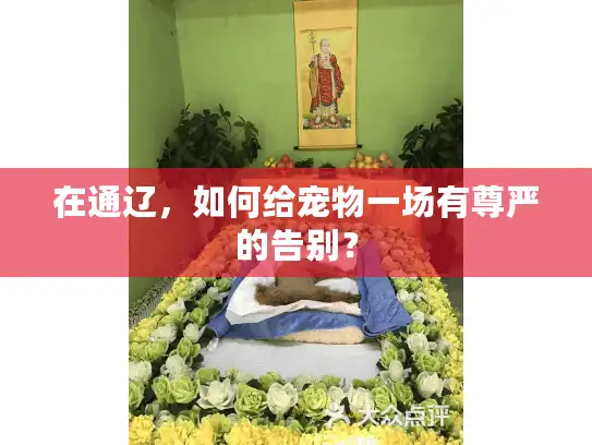 在通辽，如何给宠物一场有尊严的告别？