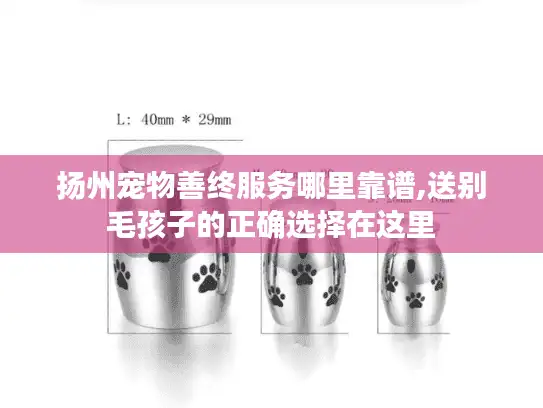 扬州宠物善终服务哪里靠谱,送别毛孩子的正确选择在这里