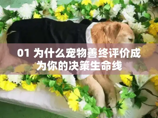 01 为什么宠物善终评价成为你的决策生命线