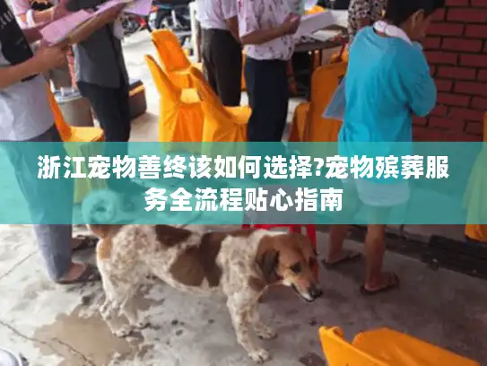 浙江宠物善终该如何选择?宠物殡葬服务全流程贴心指南