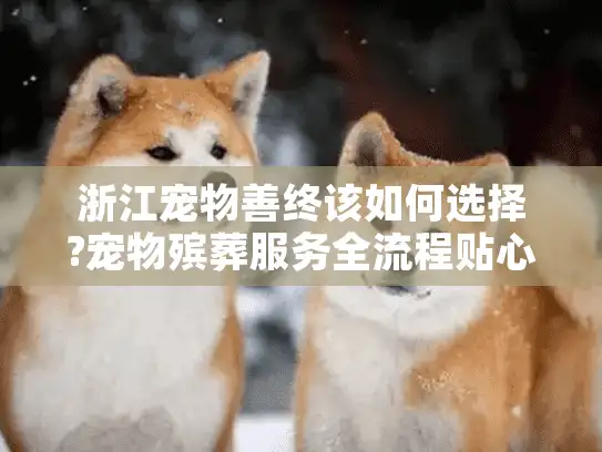 浙江宠物善终该如何选择?宠物殡葬服务全流程贴心指南