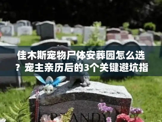 佳木斯宠物尸体安葬园怎么选？宠主亲历后的3个关键避坑指南