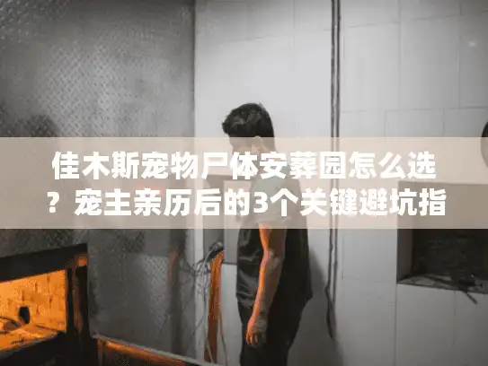 佳木斯宠物尸体安葬园怎么选？宠主亲历后的3个关键避坑指南