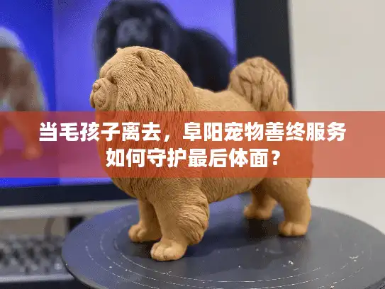当毛孩子离去，阜阳宠物善终服务如何守护最后体面？